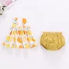 Summer Thin Newborn Baby Clothes Set For Girls Floral Print Mini Sleeveless Dress PP Shorts Cotton 2Pcs Set Infant Baby Outfits - Image 5