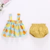 Summer Thin Newborn Baby Clothes Set For Girls Floral Print Mini Sleeveless Dress PP Shorts Cotton 2Pcs Set Infant Baby Outfits - Image 2