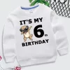 Cartoon Dogs Kid Sweatshirts Birthday Number 1-10 Children Pullover Happy Birthday Boy Girl Hoodie Casual Clothes Baby Tops - Image 6