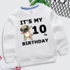 Cartoon Dogs Kid Sweatshirts Birthday Number 1-10 Children Pullover Happy Birthday Boy Girl Hoodie Casual Clothes Baby Tops - Image 2
