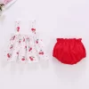 Summer Thin Newborn Baby Clothes Set For Girls Floral Print Mini Sleeveless Dress PP Shorts Cotton 2Pcs Set Infant Baby Outfits - Image 6