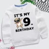 Cartoon Dogs Kid Sweatshirts Birthday Number 1-10 Children Pullover Happy Birthday Boy Girl Hoodie Casual Clothes Baby Tops - Image 3